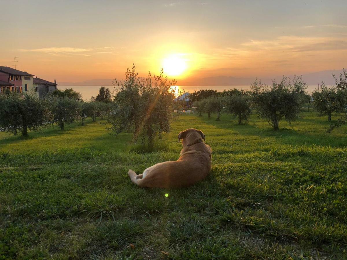 Agriturismo Al-Bor Lazise Exteriör bild